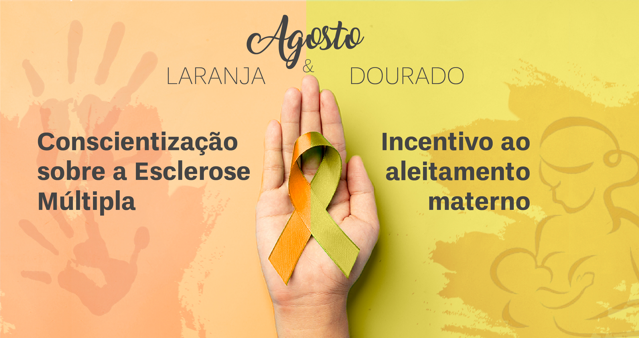 agosto lils V12 02